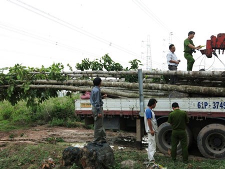 Cảnh s&aacute;t h&igrave;nh sự đang thu thập bằng chứng hiện trường