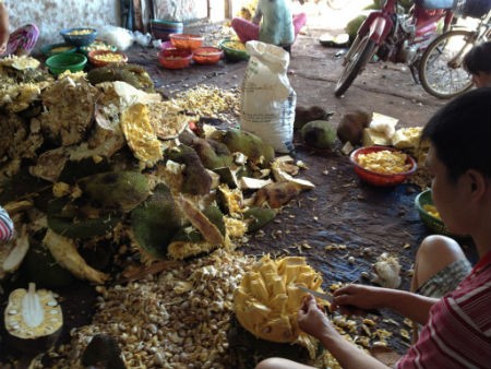 Cận cảnh nơi chế biến m&iacute;t, ruồi nhặng bu đầy, đồ đạc vứt bừa b&atilde;i dưới đất.