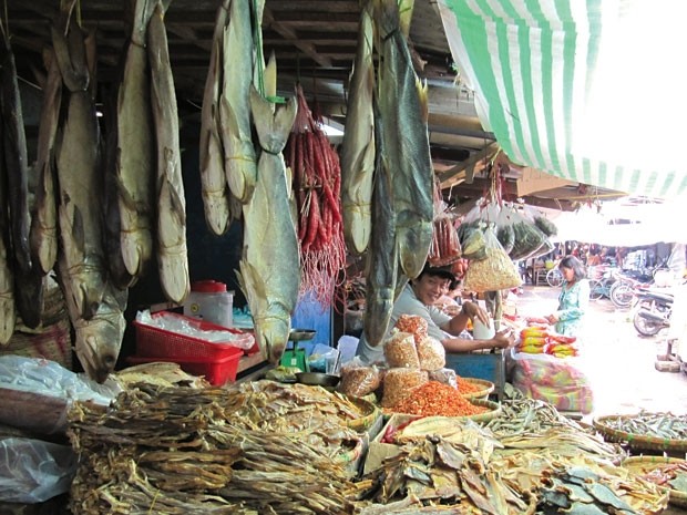 c&aacute;, bẩn, nhiễm độc