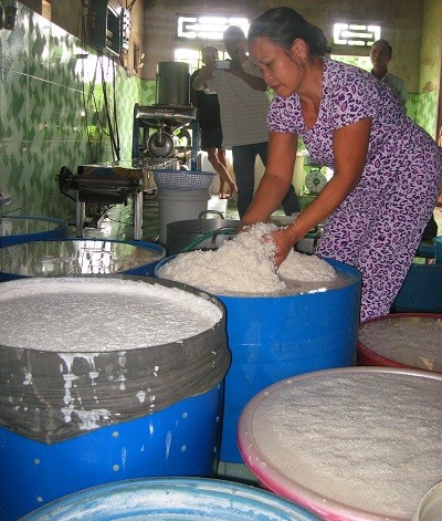 Mỗi ng&agrave;y l&agrave;ng b&uacute;n V&acirc;n C&ugrave; sản xuất từ 10 đến 15 tấn b&uacute;n