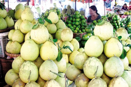 Kinh ho&agrave;ng tr&aacute;i c&acirc;y tẩm thuốc tăng ngọt nhanh ch&iacute;n 1