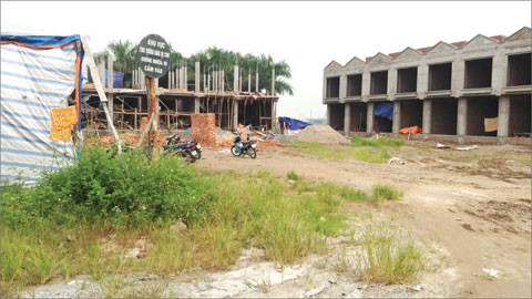Tiết lộ 