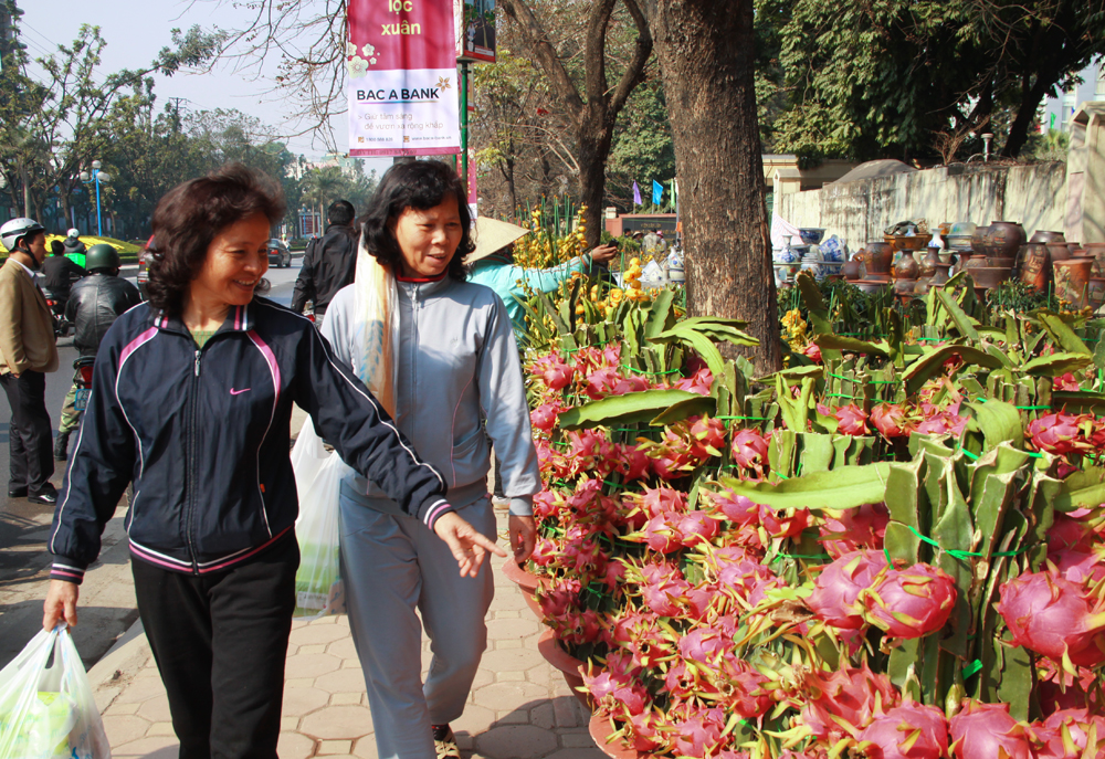 Thanh Long gi&aacute; tiền triệu đắt kh&aacute;ch