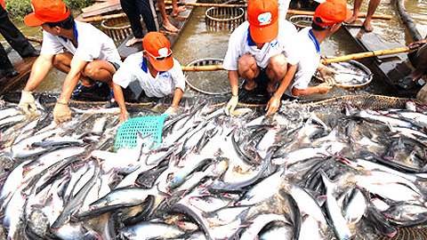 H&agrave;ng Việt xuất ngoại được ưa chuộng