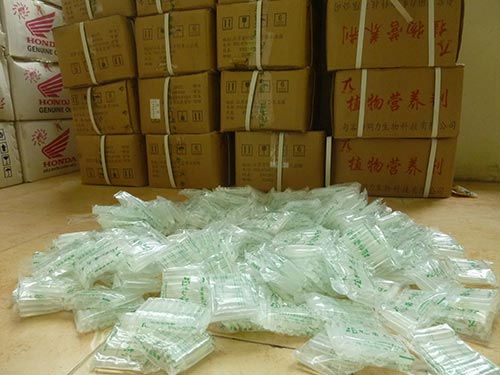 Thờ ơ với thuốc &ldquo;k&iacute;ch&rdquo; giá đỗ