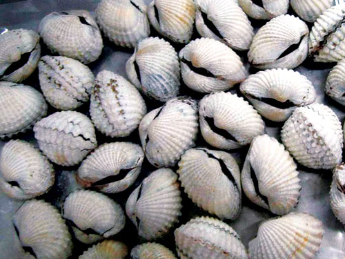 Thực phẩm c&agrave;ng trắng, c&agrave;ng độc hại