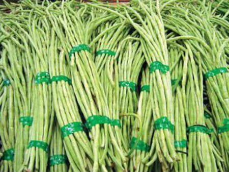 thuốc k&iacute;ch th&iacute;ch tăn,rau,đậu đũa,phun thuốc,thuốc trừ s&acirc;u,người 13Win18 đa dạng khuyến mãi,ngộ độc