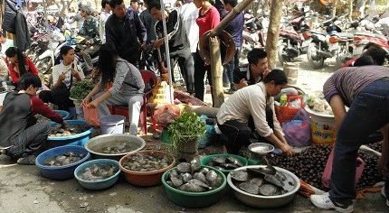 Th&ocirc;ng tin thủy sản ở H&agrave; Nội nhiễm kim loại nặng đ&atilde; khiến cho NTD lo lắng
