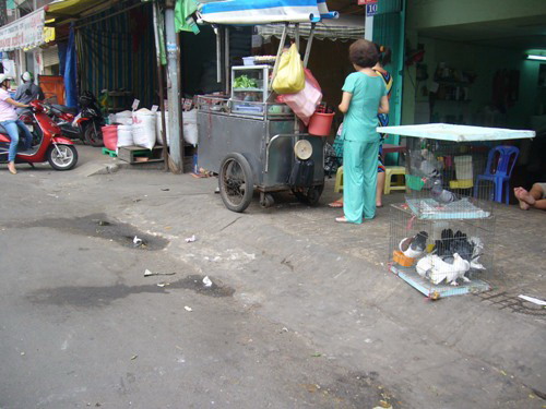Bồ c&acirc;u sống kh&ocirc;ng kiểm dịch b&agrave;y b&aacute;n tr&ecirc;n vỉa h&egrave;. Ảnh H. Mỹ