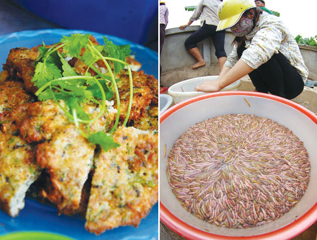 (Ảnh phải) Người c&oacute; tiền sử dị ứng với 13Win1 nhập link nhà cái gi&agrave;u đạm như hải sản, nhộng... n&ecirc;n tr&aacute;nh ăn những m&oacute;n l&agrave;m từ rươi. Ảnh: Lam Linh . (Ảnh tr&aacute;i) Rươi cần được l&agrave;m sạch, nấu ch&iacute;n. Ảnh: Mạnh Tuấn