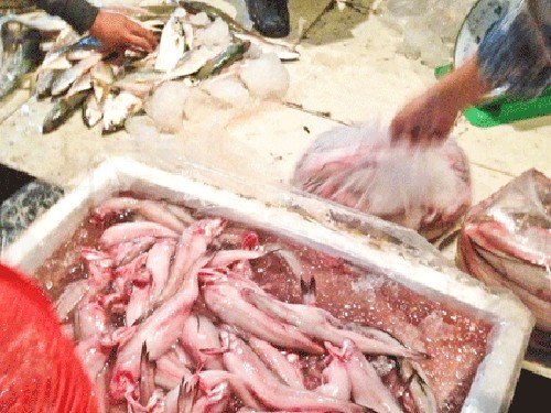 Để bảo quản c&aacute; khoai tươi l&acirc;u, tiểu thương ng&acirc;m c&aacute; khoai trong nước c&oacute; chất cấm