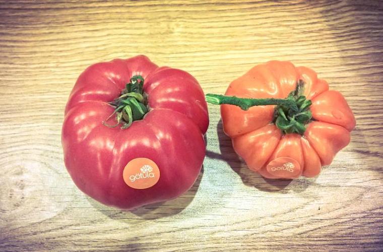 Tùy vào từng loại giống, cây sẽ cho thu trong vòng từ 3-6 tháng với điều kiện canh tác của miền Bắc.
