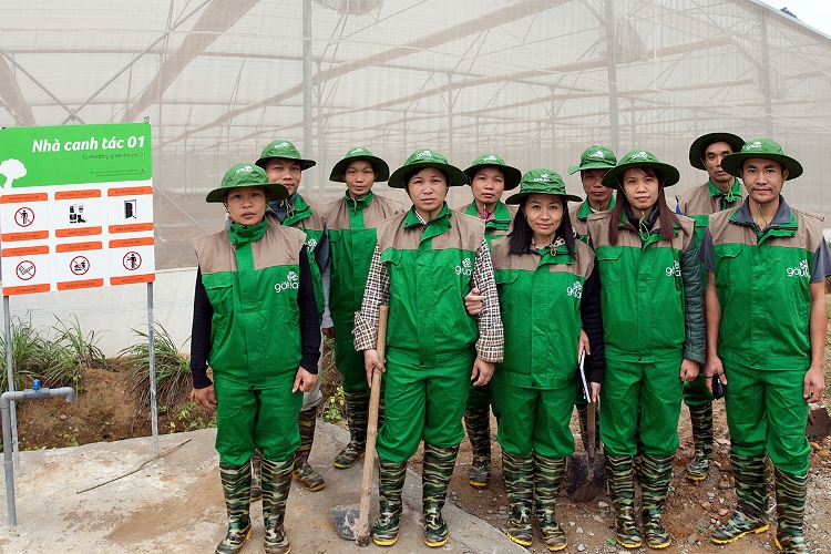 Công nhân của Skyfarm khi làm việc tại trang trại phải tuân thủ các thủ tục vệ sinh, trang bị đầy đủ bảo hộ 