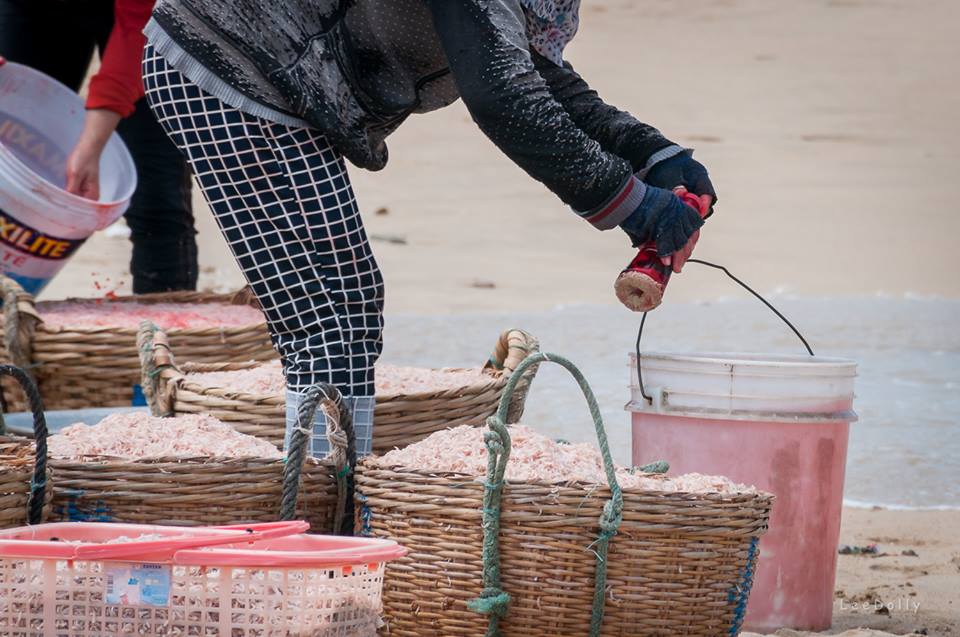Ruốc biển nhuộm phẩm m&agrave;u: 