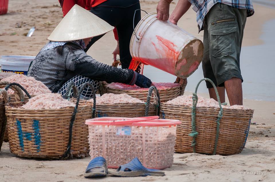 Ruốc biển nhuộm phẩm m&agrave;u: 