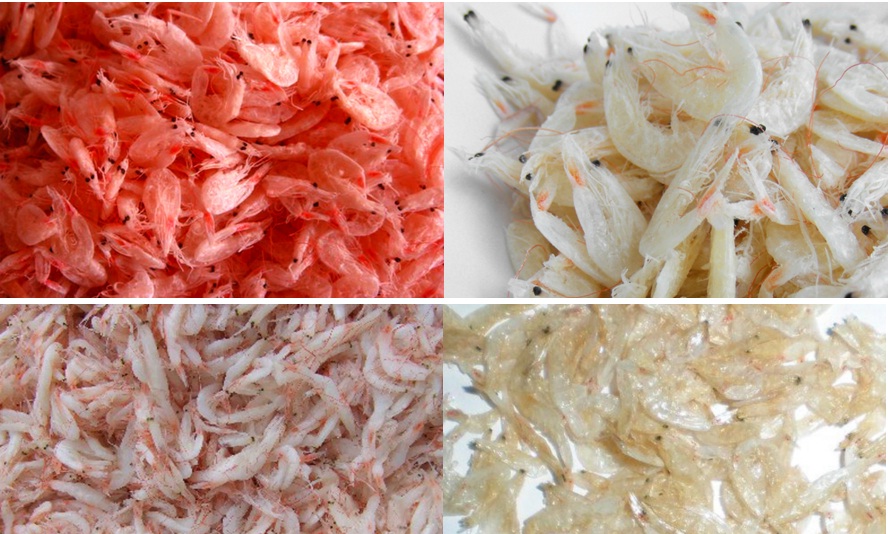 Ruốc biển nhuộm phẩm m&agrave;u: 