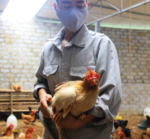 Trang trại chăn nu&ocirc;i th&agrave;nh c&ocirc;ng nhờ c&ocirc;ng nghệ EM của Nhật Bản