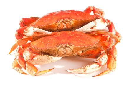 L&yacute; do n&ecirc;n ăn  cua v&agrave;o m&ugrave;a thu 