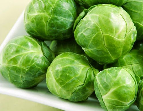 Bắp cải t&iacute; hon g&acirc;y &ldquo;sốt&rdquo;
