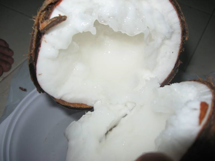 Đổi đời nhờ dừa s&aacute;p Cầu K&egrave;