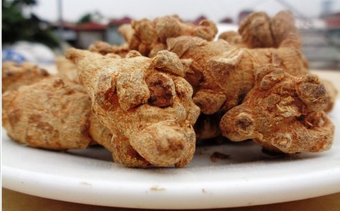 Mất tiền triệu mua tam thất giả