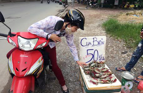 Cua biển được b&aacute;n gi&aacute; si&ecirc;u rẻ