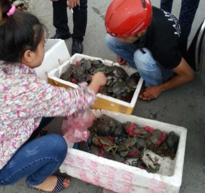 Cua gi&aacute; rẻ được b&aacute;n tr&agrave;n lan tr&ecirc;n c&aacute;c vỉa h&egrave; Hồ T&ugrave;ng Mậu.  Ảnh: Ngọc Lan.