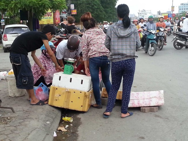 Gi&aacute; rẻ bất ngờ n&ecirc;n nhiều người đi đường dừng lại mua.