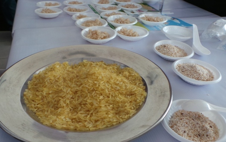 Gạo mầm được nhiều trang mạng quảng c&aacute;o l&agrave; c&oacute; c&ocirc;ng dụng chữa b&aacute;ch bệnh