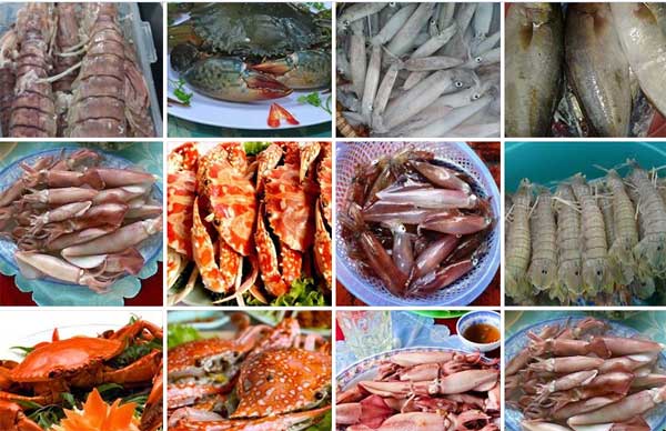 Hải sản c&aacute;c v&ugrave;ng miền được quảng c&aacute;o rầm rộ tr&ecirc;n mạng x&atilde; hội