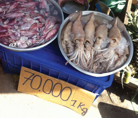 Mực 