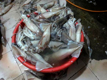 Số mực ươn thối được c&ocirc;ng an ph&aacute;t hiện tại khu vực chợ Long Bi&ecirc;n (H&agrave; Nội)