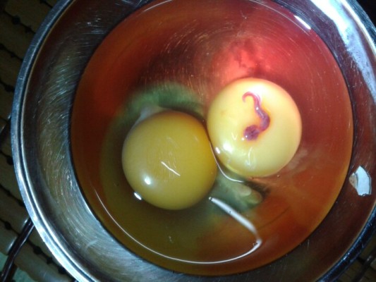 Hiện gia đ&igrave;nh b&agrave; Hồng vẫn bảo quản quả trứng chứa sinh vật lạ