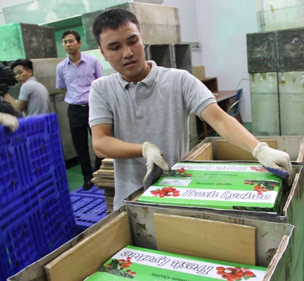  Đây là lô hàng vải thiều đầu tiên đi thị trường này được chiếu xạ ngay tại Hà Nội, rút ngắn thời gian, chi phí cho Link Đăng Nhập Nhà cái 13Win16.Com xuất khẩu.  