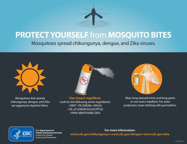 Cảnh b&aacute;o 22 nước c&oacute; virut zika phụ nữ mang thai n&ecirc;n tr&aacute;nh du lịch