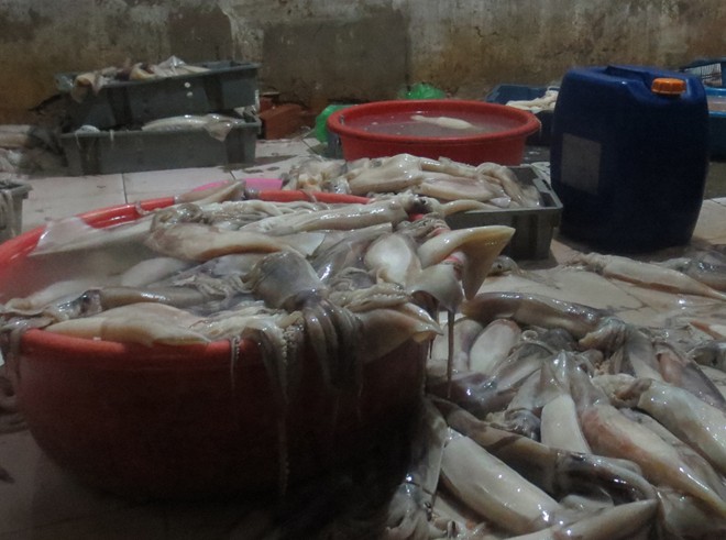 Số mực này đều kém chất lượng, bốc mùi hôi thối. Số mực này đều kém chất lượng, bốc mùi hôi thối.