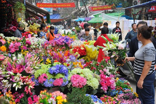 Phố cổ Hà Nội dịp tết năm nào cũng rực rỡ sắc hoa nhựa