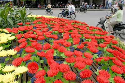 Tết này, Hà Nội dùng nhiều hoa nhựa ở những nơi công cộng