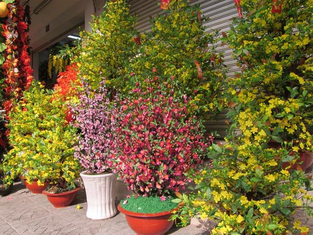 Một chậu mai, chậu đào nhựa đẹp, giá cũng lên tới vài triệu đồng