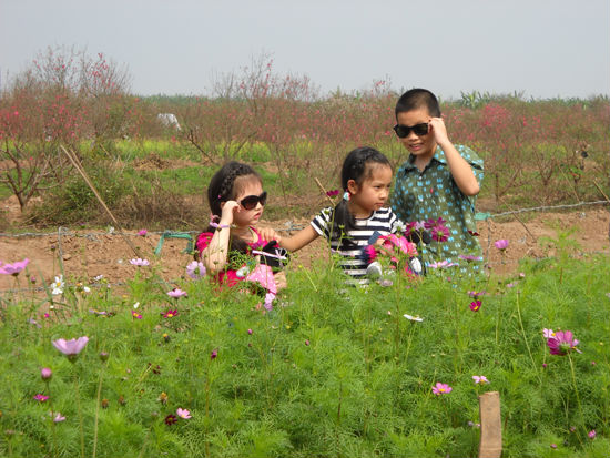 Trong những ngày nắng hiếm hoi của mùa đông miền Bắc, nhiều Đăng ký và nhận 60K 24 bao lì xì miễn phí mỗi ngày cho trẻ nhỏ tới chơi, chụp hình để 