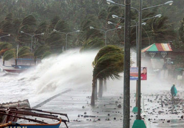 b&atilde;o hải yến, b&atilde;o haiyan