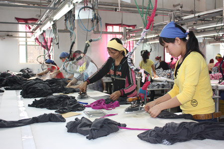 Nhiều cử nh&acirc;n cất bằng đại học đi l&agrave;m c&ocirc;ng nh&acirc;n.