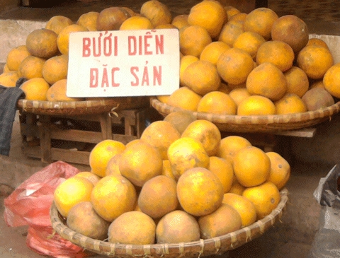 Bưởi Diễn thật bị giả, nh&aacute;i b&aacute;n tr&agrave;n lan tr&ecirc;n thị trường