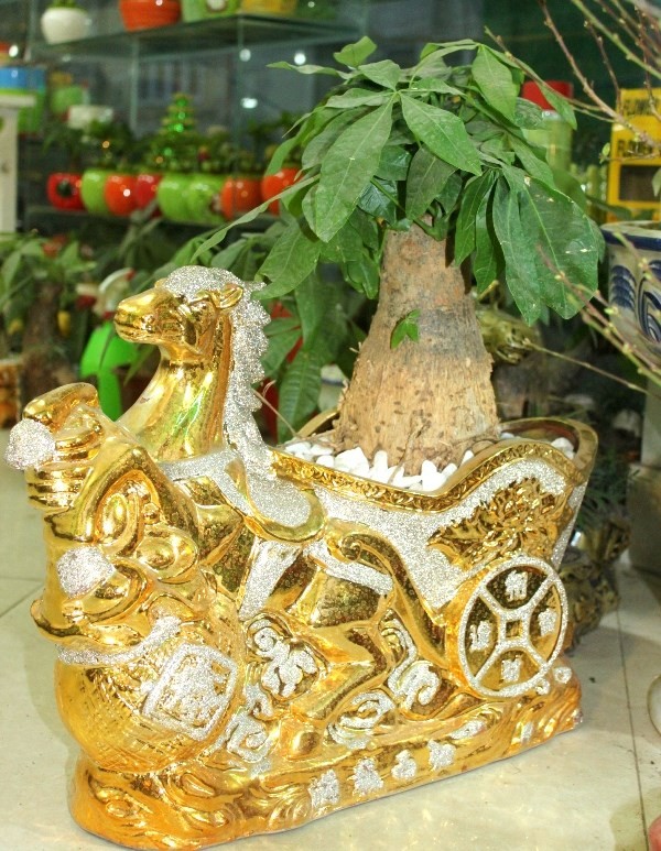 Ngoài những cây được uốn, tỉa theo hình con ngựa thì những cây được trồng trong chiếc chậu hình ngựa cũng được khách hàng ưa thích, giá cũng cao hơn. Chẳng hạn như cây kim ngân, nếu trồng ở chậu thường chỉ khoảng 200 - 300.000 đồng, nhưng chuyển sang trồng ở chậu ngựa thì lên đến 500.000 đồng. Không phải là tôi chặt chém khách mà thực tế chậu hình ngựa nhập vào cũng đắt hơn so với chậu thường.