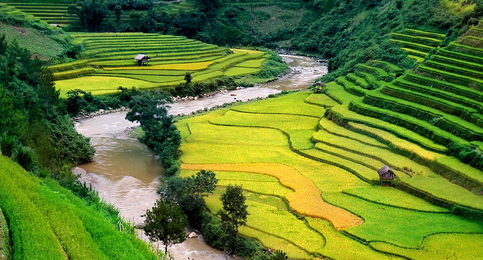 Ruong bac thang