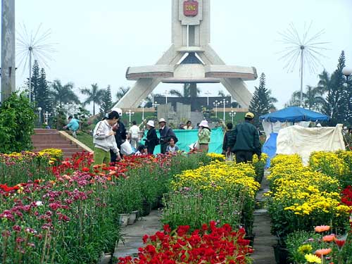 Hoa tet nguon cung roi rao