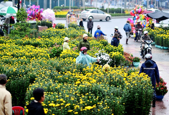 Thị trường hoa tet phong phu, gia nhỉnh