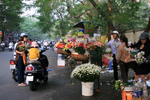 Gi&aacute; hoa tươi cho ng&agrave;y 20/11 kh&ocirc;ng c&oacute; đột biến