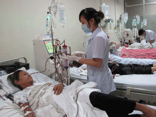 Vien phi tang gia