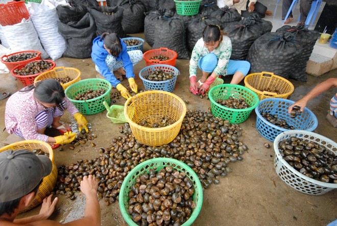 Thuong lai Trung Quoc o at mua oc bieu vang